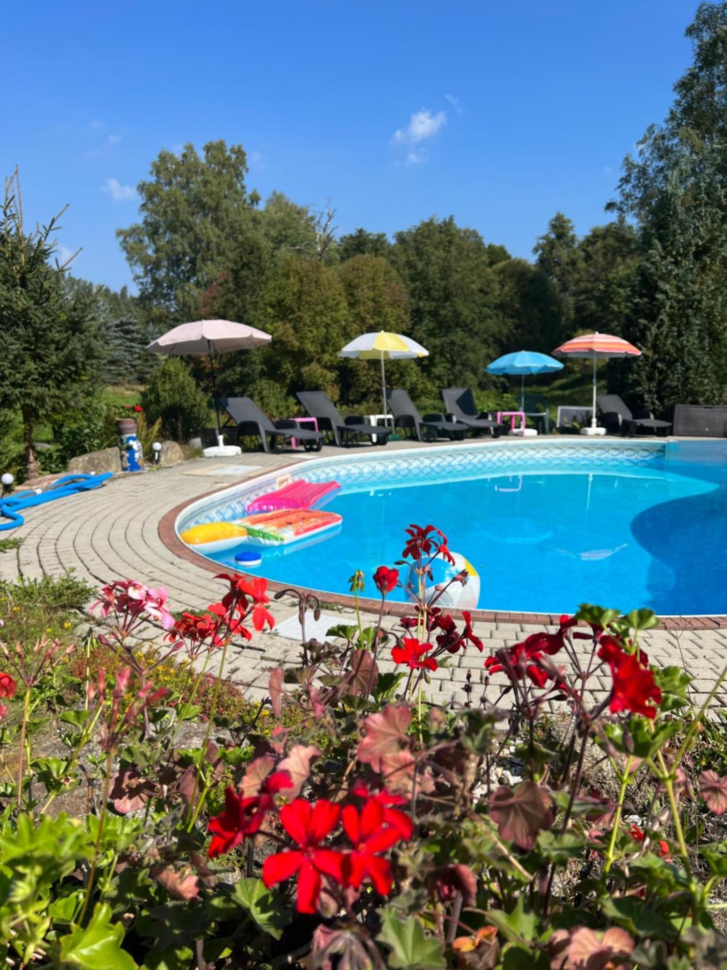 Forest Paradise Struzna Exterior photo